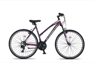 Altec Magnetic 28 Inch Women 21SP Rim Brakes Anthracite
