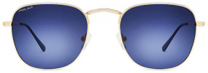 Polar zonnebril Detroit gepolariseerd Cat. 4 RVS goud/blauw