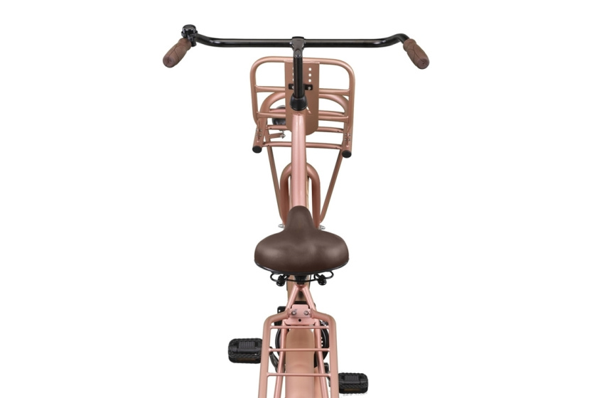 Altec Classic 28 Inch Women Coaster Brake Salmon