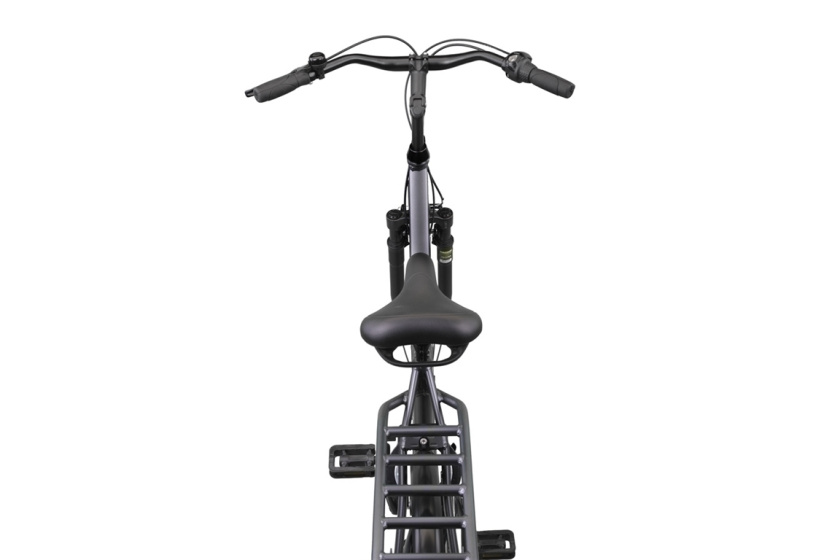 Altec Delta 28 Inch Dames 3V Rollerbrake Matgrijs