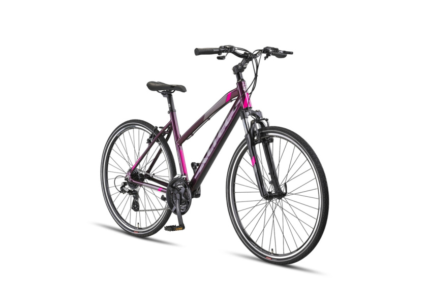 Altec Legarda 28 Inch Women 24SP Rim Brakes Purple