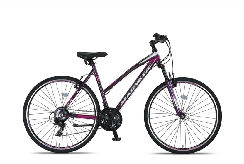 Altec Magnetic 28 Inch 52 cm Dames 21V V Brakes Antraciet afbeelding