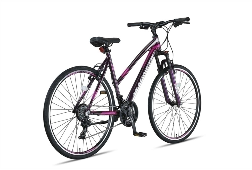 Altec Magnetic 28 Inch Women 21SP Rim Brakes Anthracite