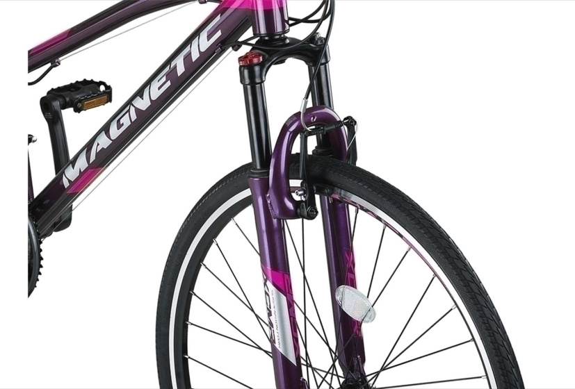 Altec Magnetic 28 Inch Women 21SP Rim Brakes Anthracite