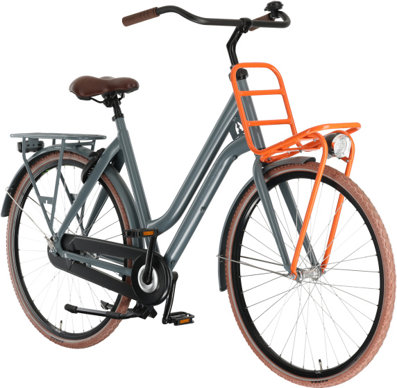 Altego Cargo 28 Zoll Damen Rücktrittbremse Grau