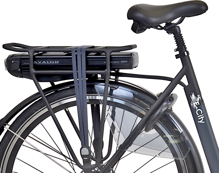 Avalon E-City+ 28 Inch Dames 7V Rollerbrake Antraciet