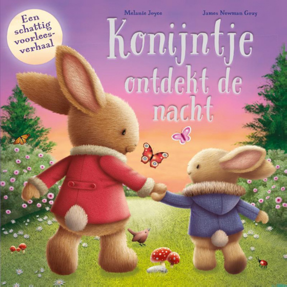 Detská kniha Rebo Productions Bunny objavuje nočný papier