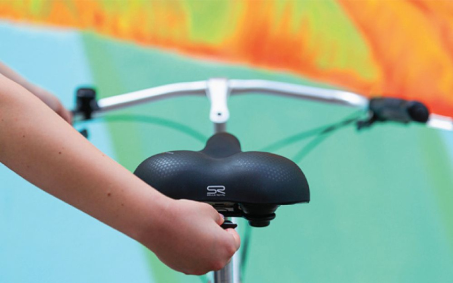 Selle Royal Avenue Relaxed Bicycle Saddle 267 x 218 mm 90° Black