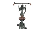 Altec Classic 28 Inch Women Coaster Brake Army Green