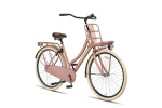 Altec Classic 28 Inch Women Coaster Brake Salmon