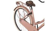 Altec Classic 28 Inch Women Coaster Brake Salmon