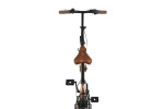Altec Cunda 20 Inch Unisex 3V V-Brakes Zalmroze