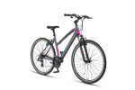 Altec Legarda 28 Inch Women 24SP Rim Brakes Anthracite