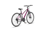 Altec Legarda 28 Inch Women 24SP Rim Brakes Purple