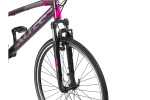 Altec Legarda 28 Inch Women 24SP Rim Brakes Purple
