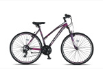 Altec Magnetic 28 Inch Women 21SP Rim Brakes Anthracite