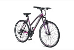 Altec Magnetic 28 Inch Women 21SP Rim Brakes Anthracite