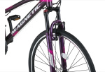 Altec Magnetic 28 Inch Women 21SP Rim Brakes Anthracite