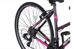 Altec Magnetic 28 Inch Women 21SP Rim Brakes Anthracite
