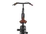 Altec Maxima Moederfiets 28 Zoll Damen 7G Rollerbrakes Mattschwarz