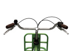 Altec Retro 28 Inch Dames 3V Rollerbrake Lichtgroen