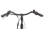 AMIGO E-Alvor D1 28 Inch Dames 7V V-Brakes Matzwart