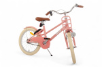 AMIGO Urban Aluminium Frame 18 Inch Girls Coaster Brake Salmon
