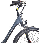 Avalon E-City+ 28 Inch Dames 7V Rollerbrake Antraciet