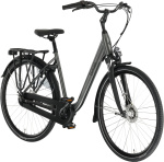Bimas City 7.3 28 Inch Dames 7V Rollerbrake Matgrijs