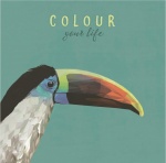 Chic.Mic canvas schilderij 20 x 20 x 4 cm Toucan Chic.Mic canvas schilderij 20 x 20 x 4 cm Toucan