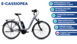 Chrisson E-Cassiopea 28 Inch 50 cm Women 7SP Rim Brakes Silver grey
