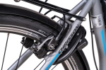 Chrisson E-Cassiopea 28 Inch 50 cm Women 7SP Rim Brakes Silver grey