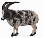 Collecta Boerderijdieren Schaap Jacob Collecta Boerderijdieren Schaap Jacob