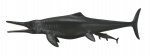 Collecta Dinosaurus Temnodontosaurus Collecta Dinosaurus Temnodontosaurus