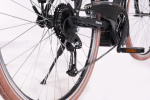 Minerva Estrel 28 Inch Men 9SP Rim Brakes Black