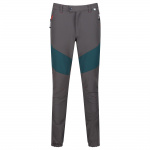 Regatta outdoorbroek Isoflex heren polyester bruin