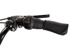 Rucanor Cargo 28 Zoll Damen 7G Rollerbrakes Mattschwarz